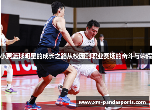 小贾篮球明星的成长之路从校园到职业赛场的奋斗与荣耀